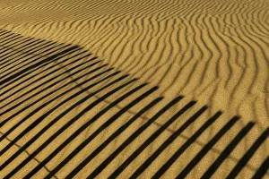 USA, New Jersey, Cape May National Seashore. Fence shadow on shore sand. Credit as USA, New Jersey, Cape May National Seashore. Fence shadow on shore sand. Credit as