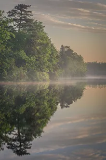 USA, New Jersey, Pinelands National Reserve. Sunrise reflections in lake USA, New Jersey, Pinelands National Reserve. Sunrise reflections in lake