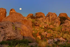 USA, New Mexico, City of Rocks State Park. Full moon sets over granite boulders lit by sunrise USA, New Mexico, City of Rocks State Park. Full moon sets over granite boulders lit by sunrise