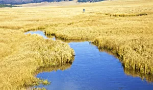 USA, New Mexico, Jemez Mountains in Fall, Valles Caldera National Preserve USA, New Mexico, Jemez Mountains in Fall, Valles Caldera National Preserve