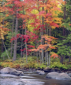 USA, New York, Autumn in the Adirondack Mountains Credit as: Christopher Talbot USA, New York, Autumn in the Adirondack Mountains Credit as: Christopher Talbot