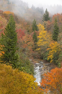 USA, North Carolina, Bubbling Springs Falls. Autumn scenic of the falls. Credit as USA, North Carolina, Bubbling Springs Falls. Autumn scenic of the falls. Credit as