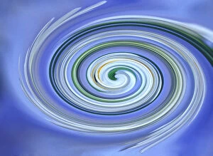 Spiral Collection: USA, Oregon. Abstract of paper whites flowers and blue sky