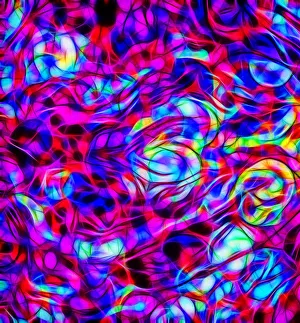 USA, Oregon. Abstract of red cabbage. Credit as: Jean Carter / Jaynes Gallery USA, Oregon. Abstract of red cabbage. Credit as: Jean Carter / Jaynes Gallery