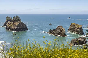 USA, Oregon. Arch Rock Lookout on Pacific Ocean shoreline USA, Oregon. Arch Rock Lookout on Pacific Ocean shoreline