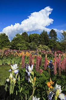 USA, Oregon, Keizer, Schreiners Iris Farm, storm building at the display garden USA, Oregon, Keizer, Schreiners Iris Farm, storm building at the display garden