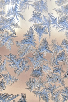 USA, Oregon, Portland. Ice crystals on window pane USA, Oregon, Portland. Ice crystals on window pane