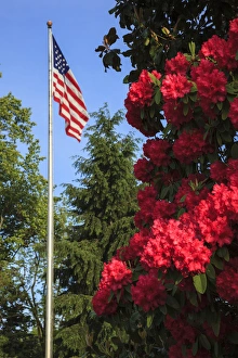 USA, Oregon, Salem, State Capitol, Azaleas and US flag USA, Oregon, Salem, State Capitol, Azaleas and US flag
