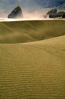 USA, Oregon. Sand dunes in late light along coast USA, Oregon. Sand dunes in late light along coast