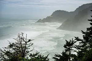 USA, Oregon. Seal Cove in fog on Pacific Coast Scenic Byway between Florence and Newport USA, Oregon. Seal Cove in fog on Pacific Coast Scenic Byway between Florence and Newport