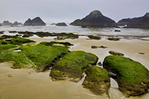 USA, Oregon, Seal Rock State Park. Rocky beach at low tide USA, Oregon, Seal Rock State Park. Rocky beach at low tide