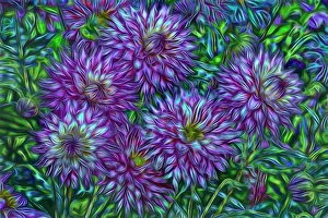 USA, Oregon, Shore Acres State Park. Abstract of dahlias in garden USA, Oregon, Shore Acres State Park. Abstract of dahlias in garden