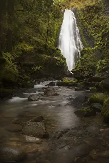 USA, Oregon, Umpqua National Forest. Susan Creek Falls in mossy gorge. Credit as USA, Oregon, Umpqua National Forest. Susan Creek Falls in mossy gorge. Credit as