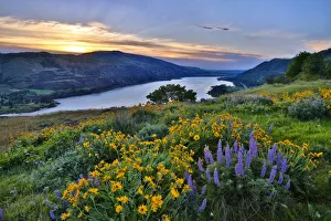 USA, Oregon. View of Lake Bonneville at sunrise USA, Oregon. View of Lake Bonneville at sunrise