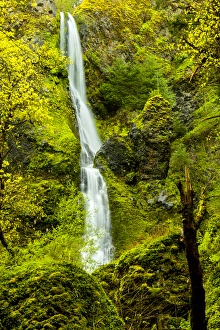 USA, Oregon, Wahkeena Falls. Locatged along I-84, the Columbia River Gorge Scenic USA, Oregon, Wahkeena Falls. Locatged along I-84, the Columbia River Gorge Scenic