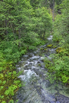 USA, Oregon, Willamette National Forest, Opal Creek Scenic Recreation Area, Battle USA, Oregon, Willamette National Forest, Opal Creek Scenic Recreation Area, Battle