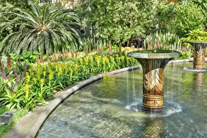 USA, Pennsylvania. Kennett Square, fountain near bromeliads USA, Pennsylvania. Kennett Square, fountain near bromeliads