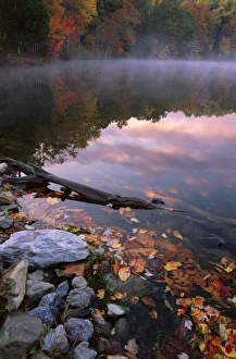 USA, Pennsylvania, Pocono Mountains. Autumn sunrise on lake USA, Pennsylvania, Pocono Mountains. Autumn sunrise on lake