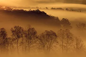 USA, Tennessee. Early morning fog in the Smoky Mountains USA, Tennessee. Early morning fog in the Smoky Mountains