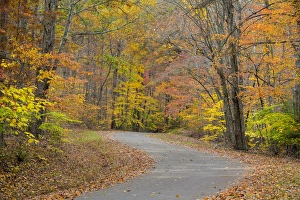 USA, Tennessee, Falls Creek Falls State Park. Road through forest in autumn. Credit as USA, Tennessee, Falls Creek Falls State Park. Road through forest in autumn. Credit as