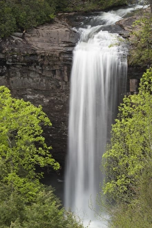USA, Tennessee, Foster Falls Small Wild Area USA, Tennessee, Foster Falls Small Wild Area