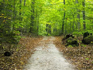 USA, Upper Michigan. Hiking trail in early autumn USA, Upper Michigan. Hiking trail in early autumn