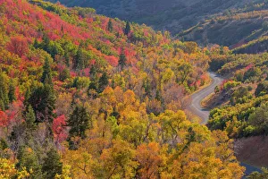 USA, Utah, Uinta National Forest. Landscape with Nebo Loop Road USA, Utah, Uinta National Forest. Landscape with Nebo Loop Road