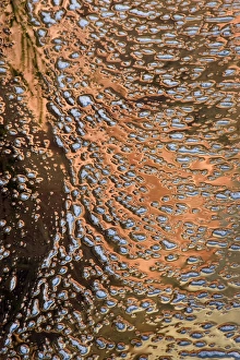 USA, Utah, Zion National Park. Water abstract USA, Utah, Zion National Park. Water abstract