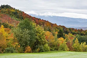 USA, Vermont, Fall foliage on Mount Mansfield USA, Vermont, Fall foliage on Mount Mansfield