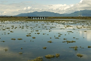USA, WA, Skagit County, Anacortes. Tidal flats reflect clouds and sky USA, WA, Skagit County, Anacortes. Tidal flats reflect clouds and sky