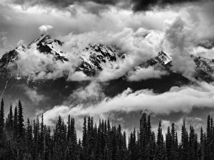 USA, Washington, Olympic National Park, Mount Carrie and Carrie Glacier through the USA, Washington, Olympic National Park, Mount Carrie and Carrie Glacier through the