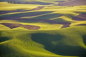 USA, Washington, Palouse, Aerial view, Rolling farmland USA, Washington, Palouse, Aerial view, Rolling farmland