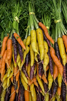 USA, Washington, Sequim. Display of carrot varieties USA, Washington, Sequim. Display of carrot varieties