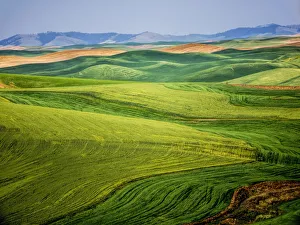 USA, Washington State. Aerial of Palouse Region USA, Washington State. Aerial of Palouse Region