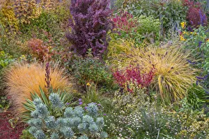USA, Washington State, Lemolo. Garden in autumn. Credit as USA, Washington State, Lemolo. Garden in autumn. Credit as
