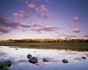 UTAH. USA. Grass Lake at sunset. Boulder Top. Boulder Mountain. Dixie National Forest UTAH. USA. Grass Lake at sunset. Boulder Top. Boulder Mountain. Dixie National Forest