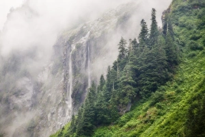 UUSA, Washington, North Cascades National Park, Cascade River. Waterfall and fog UUSA, Washington, North Cascades National Park, Cascade River. Waterfall and fog
