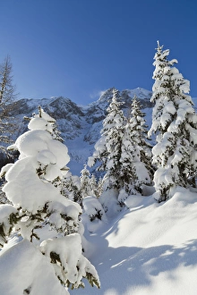 Valley Gaistal with snow during deep winter in Tyrol, Austria Valley Gaistal with snow during deep winter in Tyrol, Austria