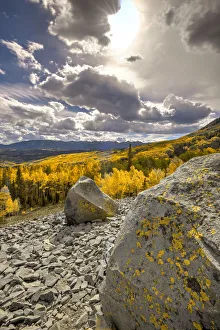 A valley of gold Aspen on Ohio Pass in the Colorado Rocky Mountains near Crested Butte A valley of gold Aspen on Ohio Pass in the Colorado Rocky Mountains near Crested Butte