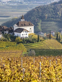 Vineyards and church of Missian (Missiano) close to Eppan (Appiano) in the Ueberetsch Vineyards and church of Missian (Missiano) close to Eppan (Appiano) in the Ueberetsch