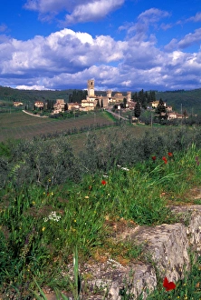 The vineyards surrounding the Tuscan village of Badia a Passignano, Italy The vineyards surrounding the Tuscan village of Badia a Passignano, Italy