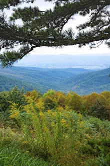 Vista, Shenandoah, Blue Ridge Parkway, Smoky Mountains, USA Vista, Shenandoah, Blue Ridge Parkway, Smoky Mountains, USA
