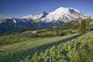 WA, Mount Rainier National Park, Mount Rainier and Little Tahoma, with Steamboat Prow formation WA, Mount Rainier National Park, Mount Rainier and Little Tahoma, with Steamboat Prow formation