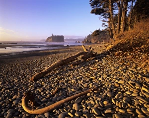 Olympic Peninsula Nature Prints: WA, Olympic NP, Ruby Beach