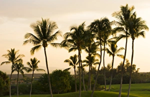 Waikoloa Hawaii Big Island golf course at exclusive Kings Golf Course at Waikoloa Waikoloa Hawaii Big Island golf course at exclusive Kings Golf Course at Waikoloa