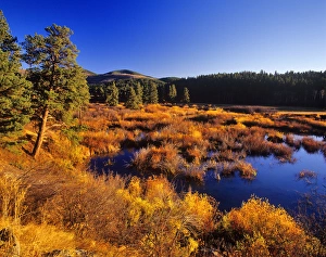 Warm Spring Creek wetlands in autumn in the Judith Mountains near Lewistown, Montana, USA Warm Spring Creek wetlands in autumn in the Judith Mountains near Lewistown, Montana, USA