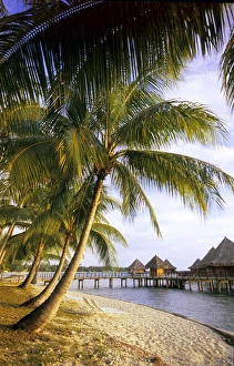 Over water bungalows on Rangiroa, French Polynesia Over water bungalows on Rangiroa, French Polynesia