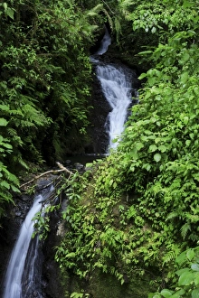 Waterfall, Monteverde Cloud Forest, Costa Rica Waterfall, Monteverde Cloud Forest, Costa Rica