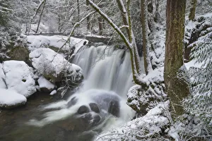 Whatcom Falls after fresh dusting of winter snow. Whatcom Falls City Park, Bellingham Whatcom Falls after fresh dusting of winter snow. Whatcom Falls City Park, Bellingham