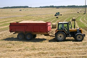 Wheat harvest near Vervins in the region of Picardie, France Wheat harvest near Vervins in the region of Picardie, France